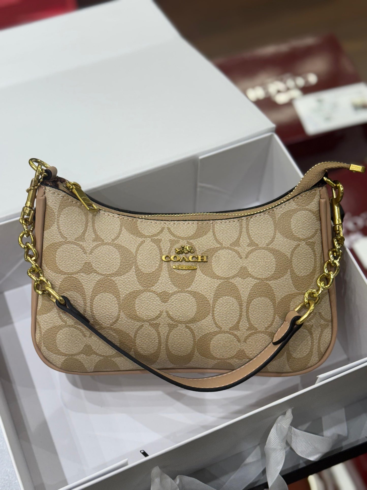 COACH TERI SHOULDER BAG