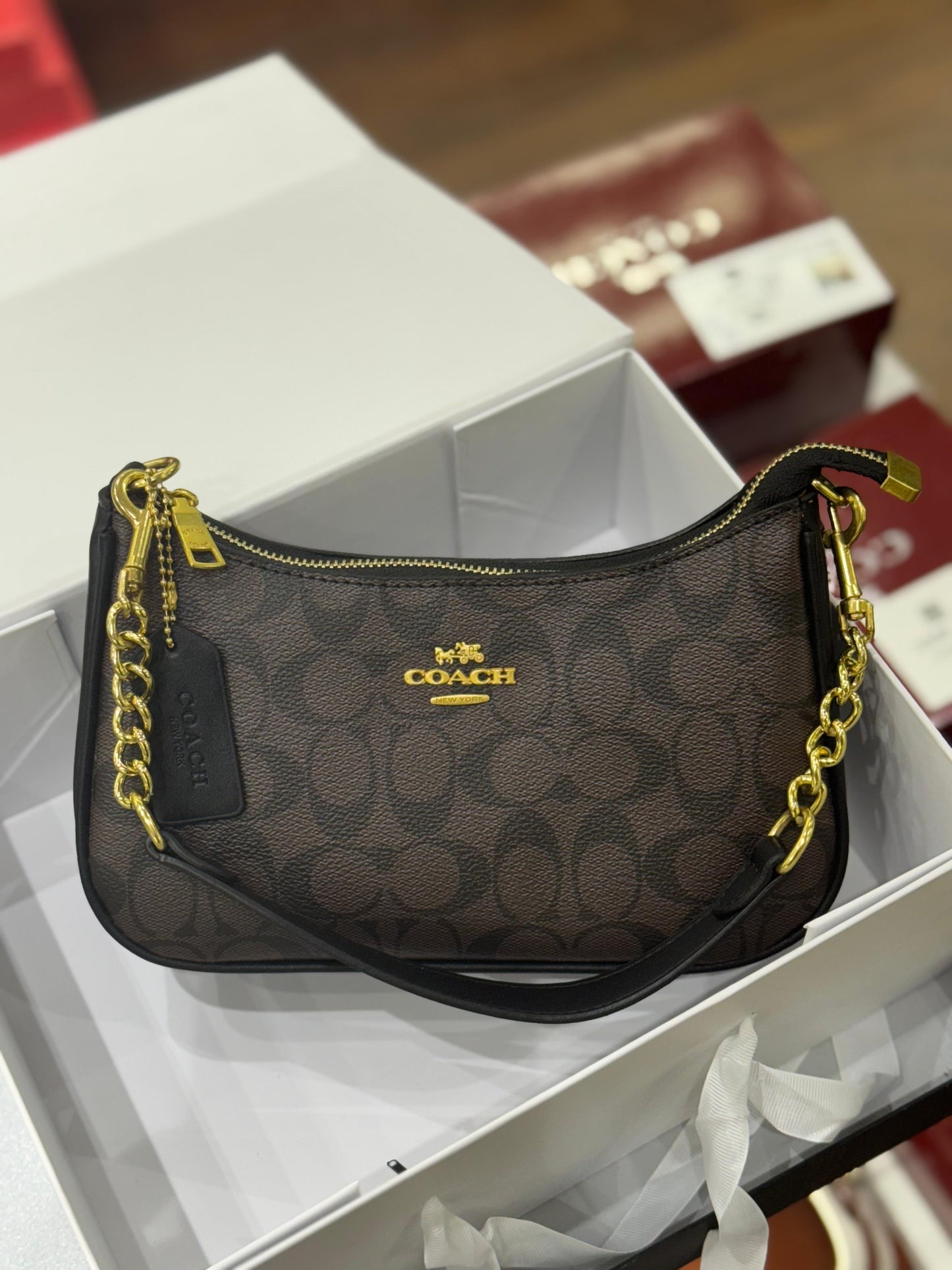 COACH TERI SHOULDER BAG