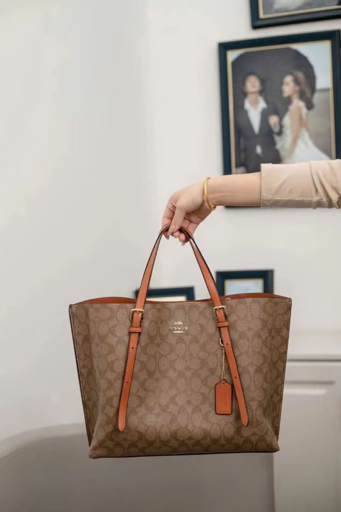 COACH MOLLIE TOTE BAG