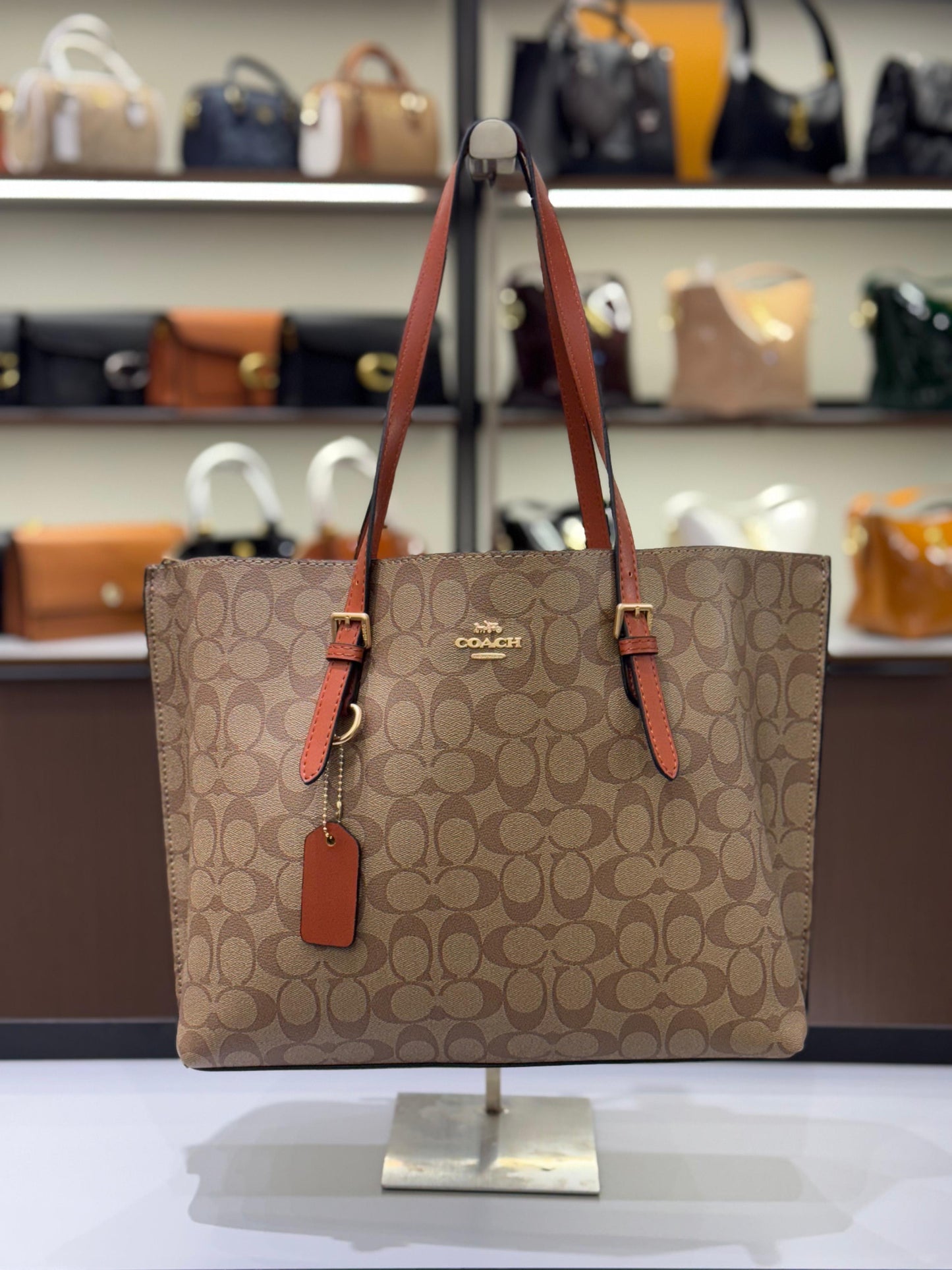 COACH MOLLIE TOTE BAG