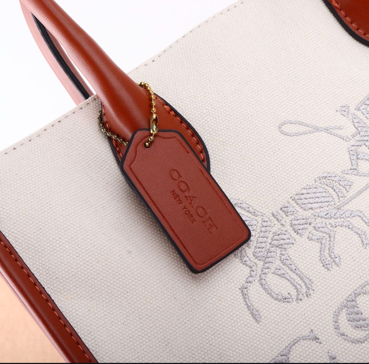 COACH HAND BAG